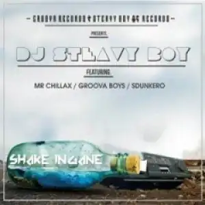 Dj Steavy Boy - Shake Ingane Ft. Mr. Chillax, Groova Boys & Sdunkero